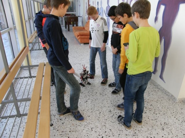 VS Riedau 65